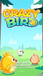 Crazy Bird