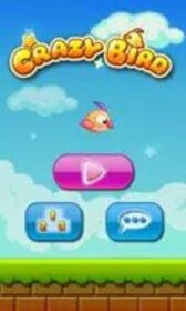 Crazy Bird
